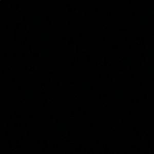 Meet your Posher, Randy